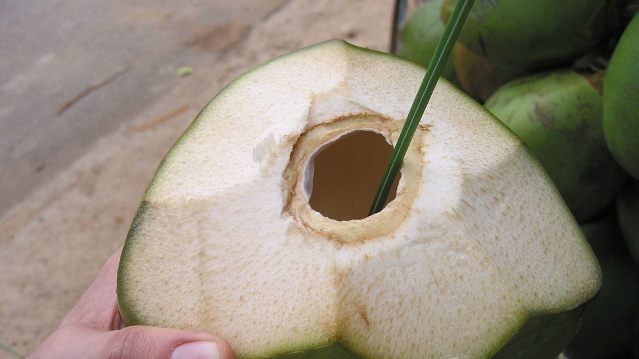 ഏഴ് എട്ട് മണിക്കൂർ ഉറക്കത്തിന് ശേഷം നമ്മുടെ ശരീരം സ്വാഭാവികമായും നിർജ്ജലീകരണത്തിലേക്ക് കടന്നിട്ടുണ്ടാകും. അതിനാൽ എഴുന്നേറ്റയുടൻ തേങ്ങാവെള്ളം കുടിക്കുമ്പോൾ അതിൽ അടങ്ങിയിരിക്കുന്ന പൊട്ടാസ്യം, സോഡിയം, മഗ്നീഷ്യം തുടങ്ങിയ പ്രകൃതിദത്ത ഇലക്ട്രോലൈറ്റുകൾ ശരീരത്തിലെ ജലാംശം പെട്ടെന്ന് വീണ്ടെടുക്കാൻ സഹായിക്കുന്നു. ഇത് രാവിലെ ഉണ്ടാകുന്ന ക്ഷീണവും തലകറക്കവും മാറ്റുന്നു.