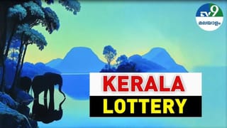 VD Satheesan: വിഡി സതീശന്റെ യാത്രകള്‍ക്ക് വാഹനവ്യൂഹം ഉണ്ടാകില്ല, പകരം പൈലറ്റും എസ്‌കോട്ടും മാത്രം