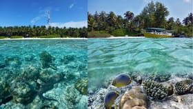 Lakshadweep Travel: പോലീസ് ക്ലിയറൻസും സ്പോൺസറും വേണ്ട!; ലക്ഷദ്വീപ് യാത്ര ഇനി കൂടുതൽ എളുപ്പം...