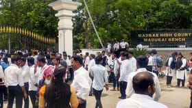 തമിഴ്നാട്ടിൽ ഗോവധം നിരോധിച്ച് മദ്രാസ് ഹൈക്കോടതി