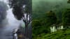 ഫാമിലി ട്രിപ്പുകൾക്ക് ഏറ്റവും അനുയോജ്യമായ മൂന്നാറിലെ സ്ഥലങ്ങൾ...