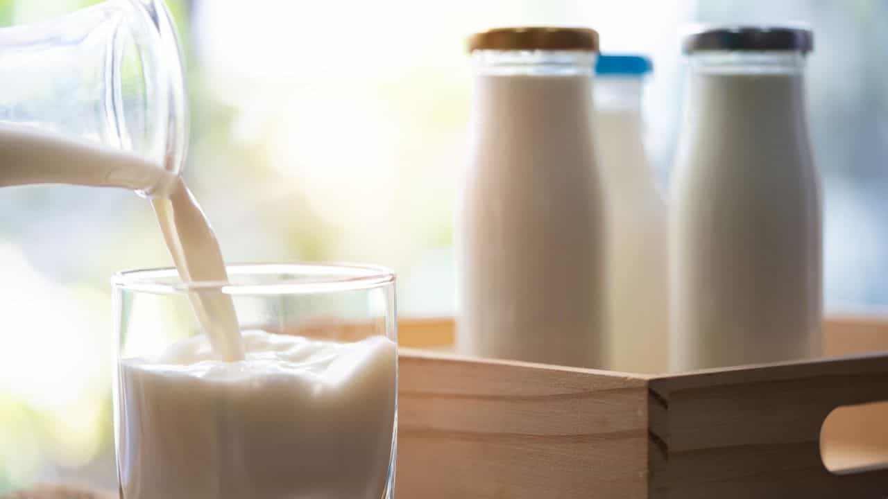 Milk Price Hike: പാല്‍ വില സര്‍വ്വകാല റെക്കോഡില്‍; കുറഞ്ഞ നിരക്കില്‍ ഏത് കമ്പനിയുടേത് വാങ്ങാം?