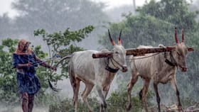 പിടിച്ചുനിന്നോ എല്ലാരും! മുംബൈയില്‍ അതിശക്തമായ കാറ്റ്, കൂടെ മഴയും