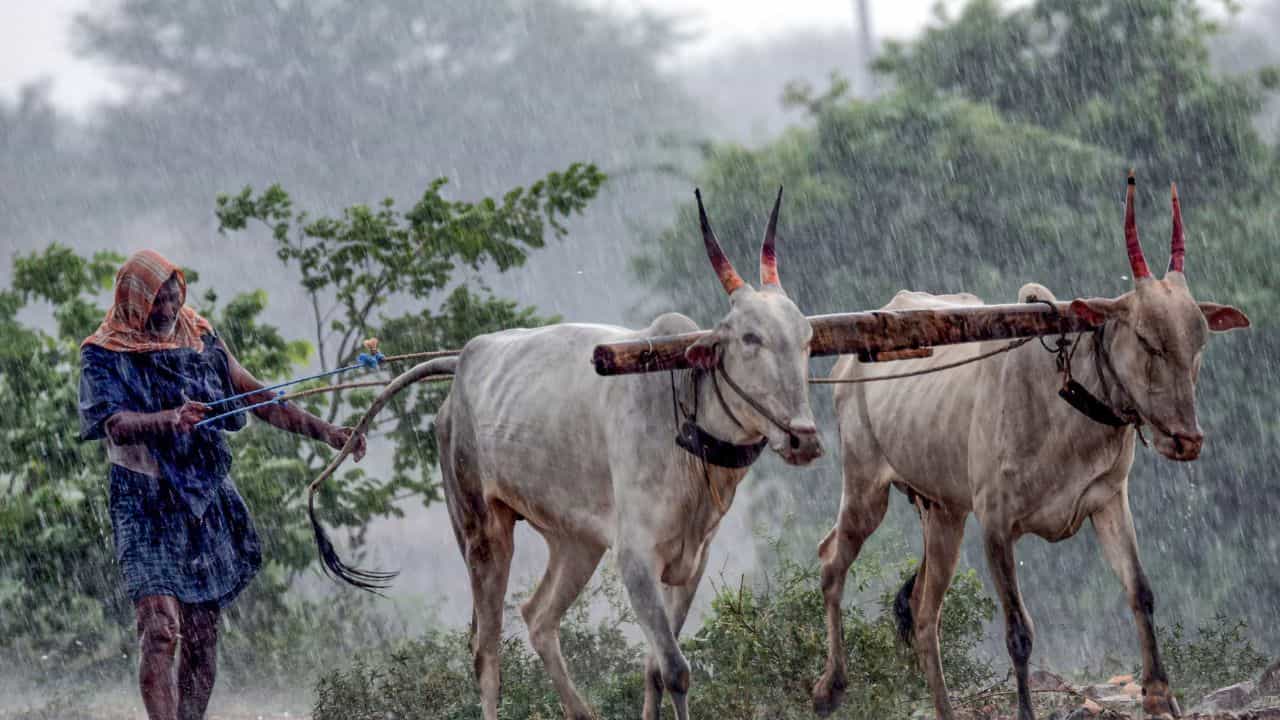 Mumbai Weather: പിടിച്ചുനിന്നോ എല്ലാരും! മുംബൈയില്‍ അതിശക്തമായ കാറ്റ്, കൂടെ മഴയും ഇടിയും
