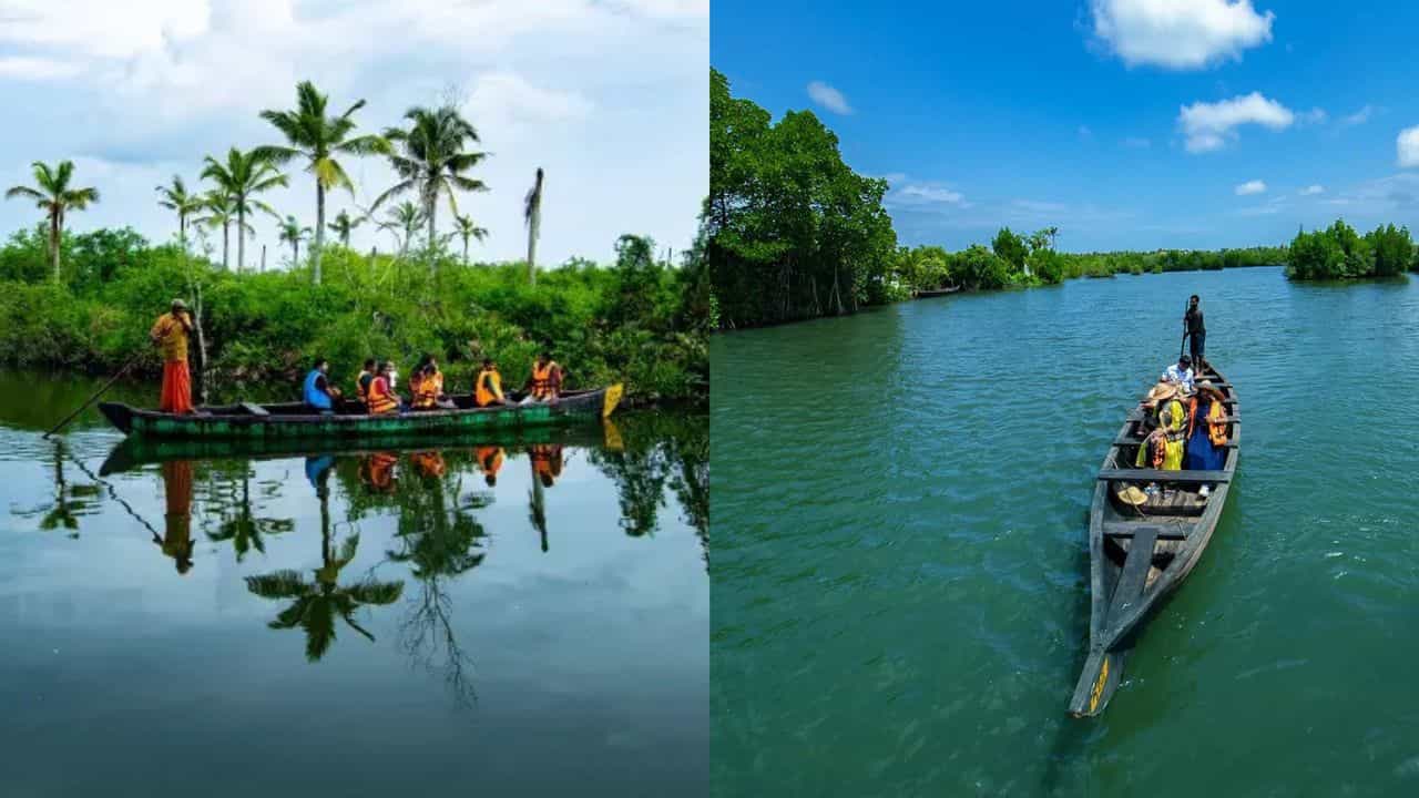 Munroe Island: മൺറോ തുരുത്തിലേക്ക് വിട്ടാലോ....; ഈ സ്ഥലങ്ങളൊന്നും മിസ്സാക്കല്ലേ Munroe Island: മൺറോ തുരുത്തിലേക്ക് വിട്ടാലോ....; ഈ സ്ഥലങ്ങളൊന്നും മിസ്സാക്കല്ലേ
