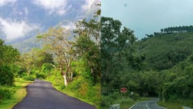 മസിനഗുഡി വഴി ഊട്ടിക്ക് പോകാൻ വരട്ടെ! ഈ റൂട്ടിൽ നിയന്ത്രണം