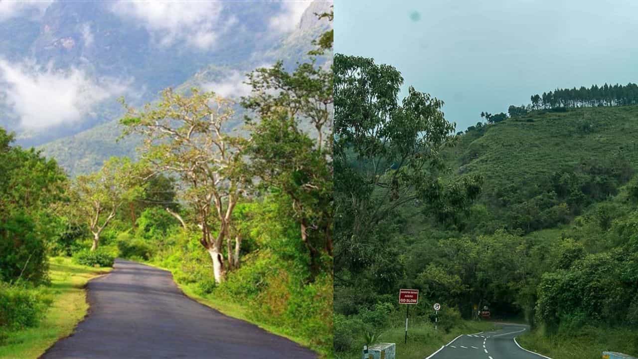 Masinagudy Via Ooty: മസിനഗുഡി വഴി ഊട്ടിക്ക് പോകാൻ വരട്ടെ! ഈ റൂട്ടിൽ നിയന്ത്രണം; ഈ വഴിക്ക് വിട്ടോളൂ