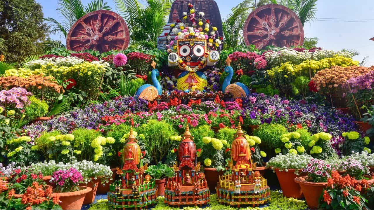Ooty Flower Show 2026: ഇനി പൂക്കളുടെ വിസ്മയക്കാഴ്ച! ഊട്ടി പുഷ്പമേള ഉടൻ ആരംഭിക്കും; തീയതിയും, ടിക്കറ്റ് നിരക്കും Ooty Flower Show 2026: ഇനി പൂക്കളുടെ വിസ്മയക്കാഴ്ച! ഊട്ടി പുഷ്പമേള ഉടൻ ആരംഭിക്കും; തീയതിയും, ടിക്കറ്റ് നിരക്കും