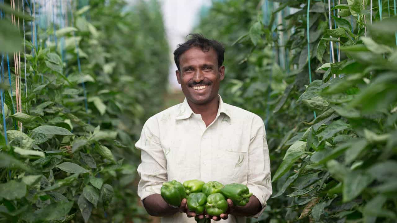 PM Kisan 23rd Installment: പിഎം കിസാന്‍ 23ാം ഗഡു വാങ്ങേണ്ടേ? 2,000 രൂപ എന്ന് കിട്ടും?