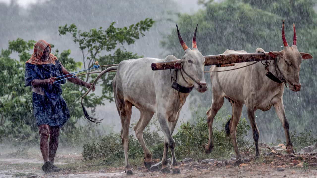 Kerala Rain Alert: ഇടി, മിന്നൽ, കാറ്റ്, മഴ സാധ്യത... കൂടെ യെല്ലോ അലർട്ടും, മുന്നറിയിപ്പുകൾ ഇങ്ങനെ