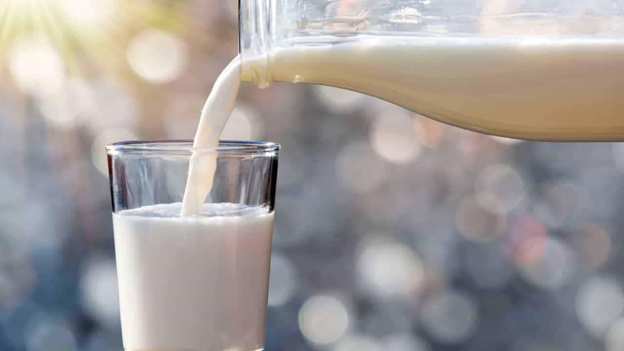 Calcium: പാൽ കുടിക്കാൻ മടിയാണോ, കാൽസ്യത്തിന് ഇവ കഴിച്ചാലും മതി Calcium: പാൽ കുടിക്കാൻ മടിയാണോ, കാൽസ്യത്തിന് ഇവ കഴിച്ചാലും മതി