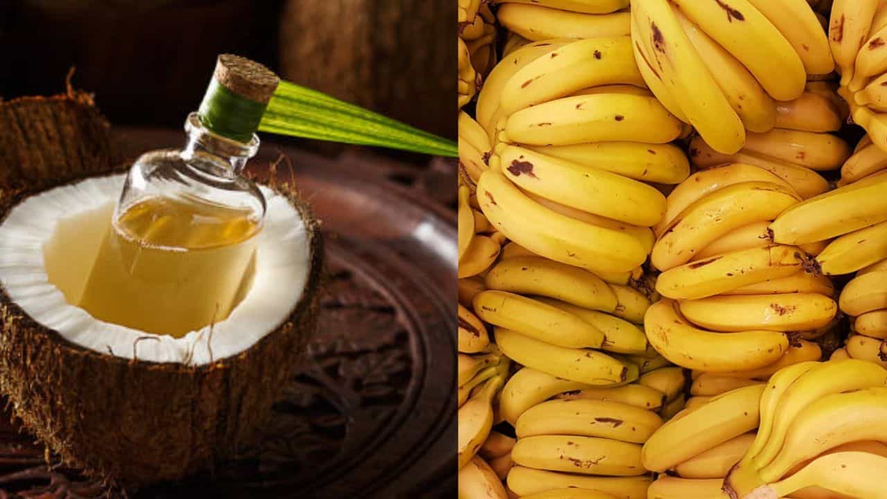 Commodity Price: വെളിച്ചെണ്ണ വിലയിൽ വൻ ഇടിവ്; നേന്ത്രക്കായയ്ക്ക് ഹാഫ് സെഞ്ച്വറി Commodity Price: വെളിച്ചെണ്ണ വിലയിൽ വൻ ഇടിവ്; നേന്ത്രക്കായയ്ക്ക് ഹാഫ് സെഞ്ച്വറി