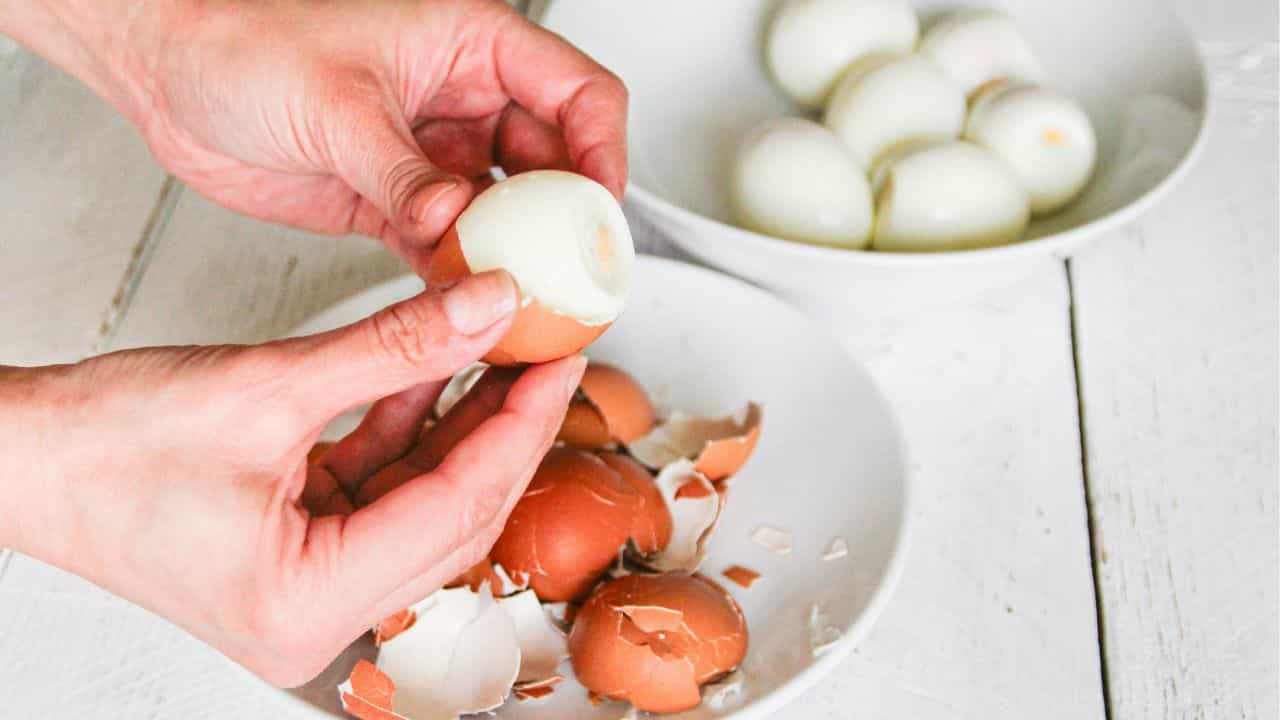 Egg: മുട്ട പുഴുങ്ങിയ ഉടനെ തണുത്ത വെള്ളത്തിൽ ഇടാറുണ്ടോ? അബദ്ധം കാണിക്കല്ലേ
