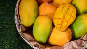 Mango: മാങ്ങയ്ക്ക് മധുരമുണ്ടോ? കഴിച്ചുനോക്കാതെ അറിയാം, ചെയ്യേണ്ടത്…...