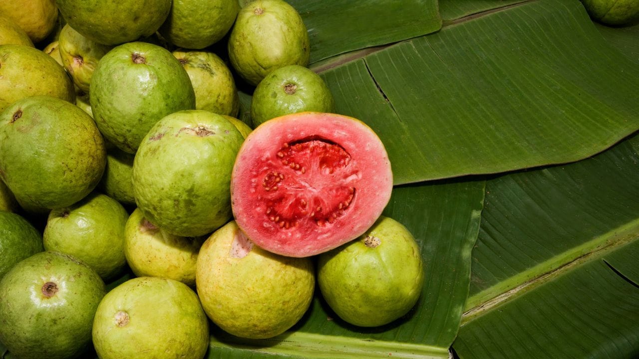 പച്ചക്കറികളും പഴങ്ങളും ആരോഗ്യത്തിന് നല്ലതാണെങ്കിലും മഴക്കാലത്ത് ഇവ സൂക്ഷിച്ച് വേണം കഴിക്കാൻ. മഴസമയത്ത് ഈച്ചകളും ബാക്ടീരിയകളും മുറിച്ചുവെച്ച പഴങ്ങളിൽ വേഗത്തിൽ അടിഞ്ഞുകൂടും.അതിനാൽ നേരത്തെ മുറിച്ചുവെച്ചിരിക്കുന്നവ കഴിക്കരുത്. പച്ചക്കറികൾ നന്നായി തിളച്ച വെള്ളത്തിൽ കഴുകി വൃത്തിയാക്കി ഉപയോഗിക്കുക.