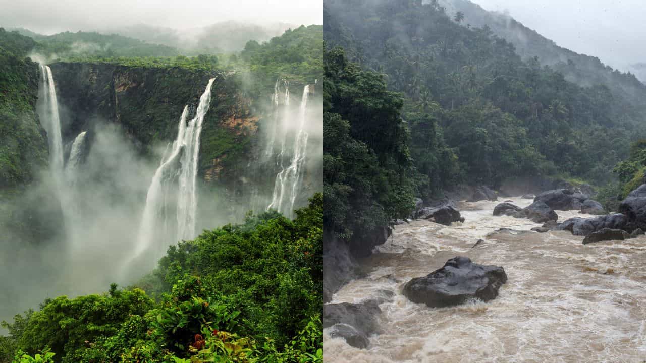 Monsoon Travel Safety: മൺസൂൺ യാത്രകൾ ട്രാജഡിയാകരുത്; കാടും മലയും കയറാൻ പ്ലാനുണ്ടെങ്കിൽ ഇതറിഞ്ഞിരിക്കണം