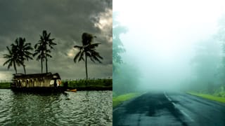 Health Tips: ഫ്രിഡ്ജിൽ തണ്ണിമത്തൻ കഷ്ണങ്ങളാക്കി വെക്കാമോ? കഴിക്കുന്നതിന് മുമ്പ് അറിയണം