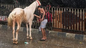 നാട്ടിൽ മഴയുണ്ടോ? ഇന്നും ഇവിടെയെല്ലാ മഴ തന്നെ; കാലാവസ്ഥ ഇങ്ങനെ