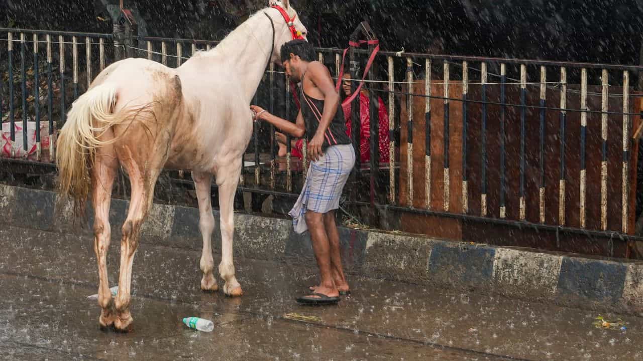 Kerala Weather Update: നാട്ടിൽ മഴയുണ്ടോ? ഇന്നും ഇവിടെയെല്ലാം മഴ തന്നെ; കാലാവസ്ഥ ഇങ്ങനെ