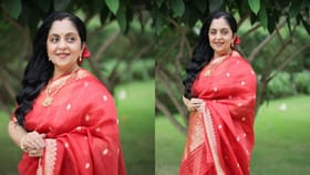 സിന്ധു കൃഷ്ണയ്ക്കും വ്യൂസ് കുറയുന്നു; കാരണം ദിയയും ഹൻസികയും....