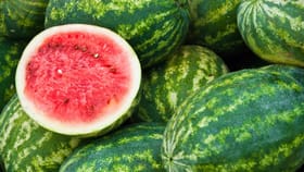 Watermelon: തണ്ണിമത്തന്റെ കൂടെ ഇവയൊന്നും കഴിക്കല്ലേ, ജീവന് അപകടം...