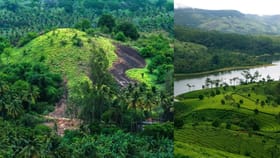 തെക്കൻ കേരളത്തിൻ്റെ 'മിനി മൂന്നാ‍‍‍ര്‍'; അമ്പനാടാണ് ഇപ്പോൾ വൈറൽ