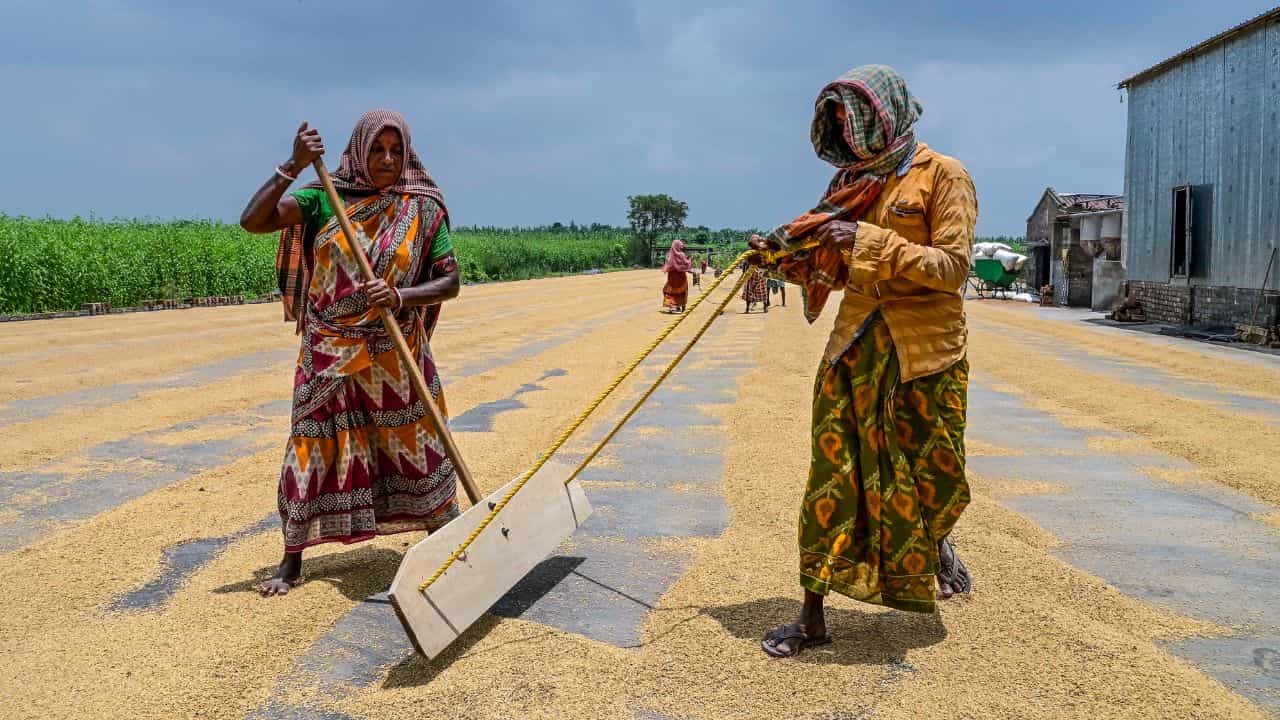 Antyodaya Anna Yojana: AAY കാര്‍ഡിന് 35 കിലോ അരി കിട്ടില്ല; ഓരോ അംഗത്തിനും ഇത്ര ധാന്യമേ ലഭിക്കൂ