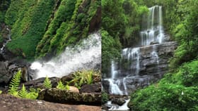 Bengaluru Travel: മഴയത്ത് ബെംഗളൂരു കാണാം; ആരും കാണാത്ത ഈ ഹിഡൺ സ്പോട്ടുകൾ നിങ്ങൾക്കറിയാമോ?...