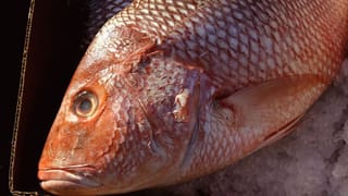 Fish Poisoning Outbreak in Aryanad: ആര്യനാട് മേഖലയിൽ വൻ ഭക്ഷ്യവിഷബാധ; മീൻ കഴിച്ച് നൂറോളം പേർ ചികിത്സയിൽ, ജനങ്ങൾ ഭീതിയിൽ