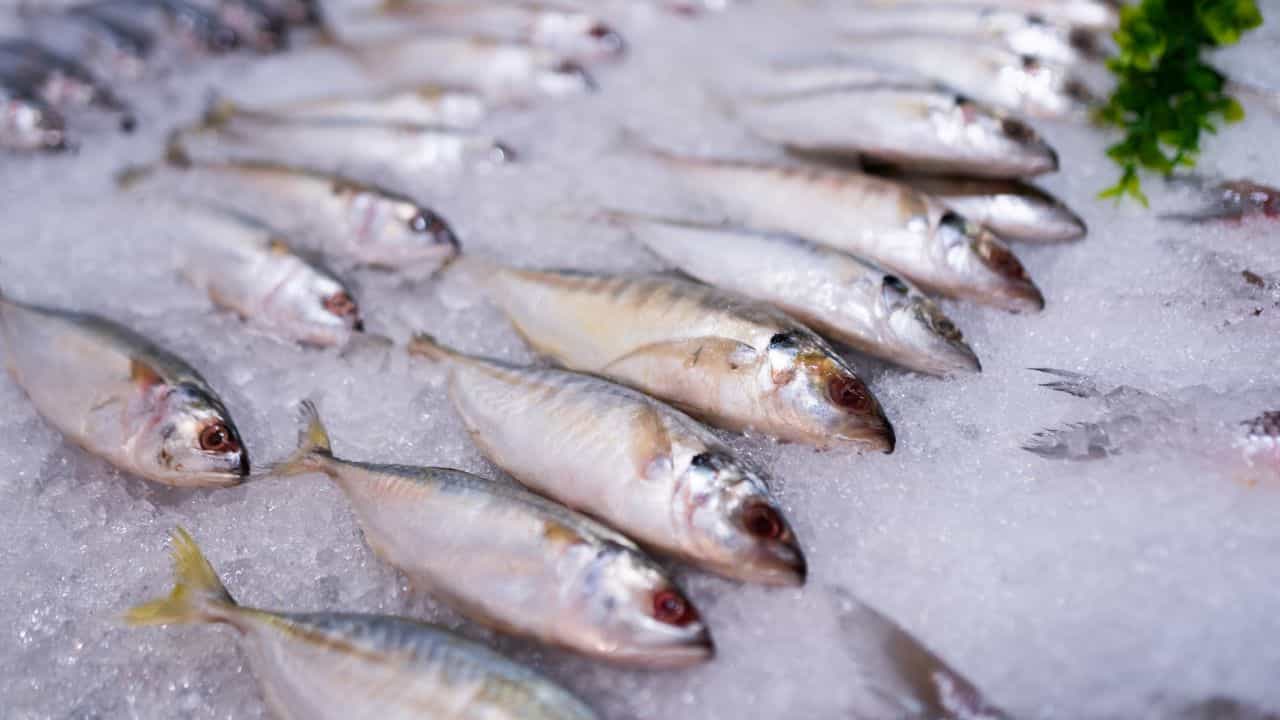 Fish Storage Tips: മീൻ സൂക്ഷിക്കേണ്ടത് ഫ്രിഡ്ജിലോ ഫ്രീസറിലോ? ഫ്രഷ് ആയിട്ടിരിക്കാൻ ഈ സൂത്രം ചെയ്താൽ മതി Fish Storage Tips: മീൻ സൂക്ഷിക്കേണ്ടത് ഫ്രിഡ്ജിലോ ഫ്രീസറിലോ? ഫ്രഷ് ആയിട്ടിരിക്കാൻ ഈ സൂത്രം ചെയ്താൽ മതി