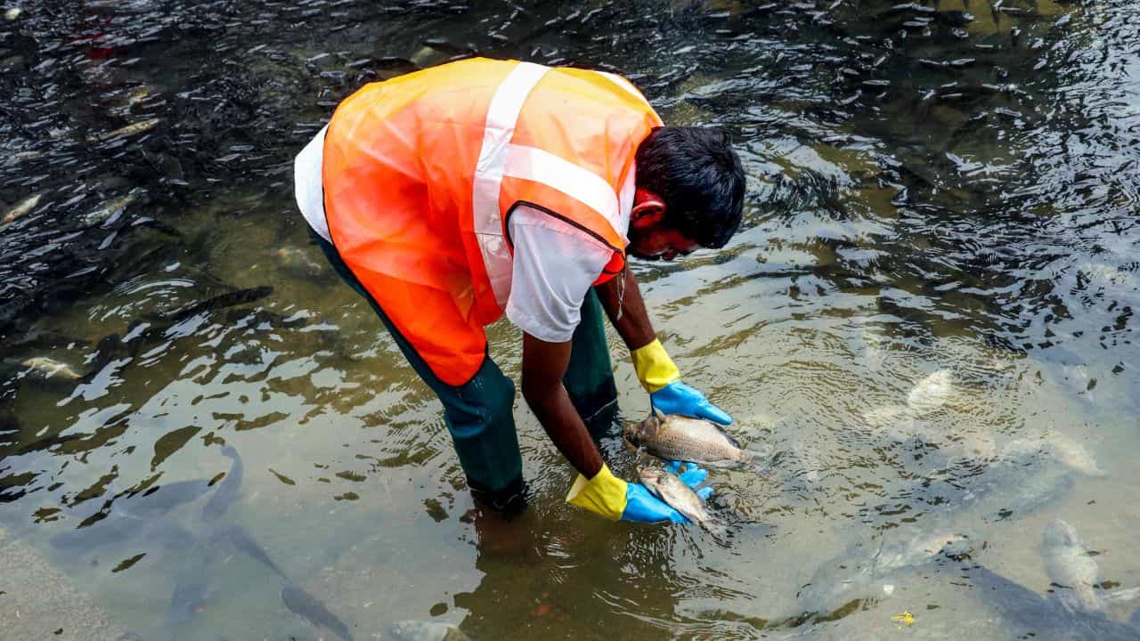 Dry day Kerala :  പനി പടരുന്നു; സംസ്ഥാനത്ത് വെള്ളി, ശനി, ഞായർ ദിവസങ്ങളിൽ അടിയന്തര ഡ്രൈ ഡേ