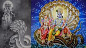 ഇന്ന് പരമ ഏകാദശി; വിഷ്ണു ഭ​ഗവാനെ പ്രതീപ്പെടുത്താൻ ഈ മന്ത്രങ്ങൾ...