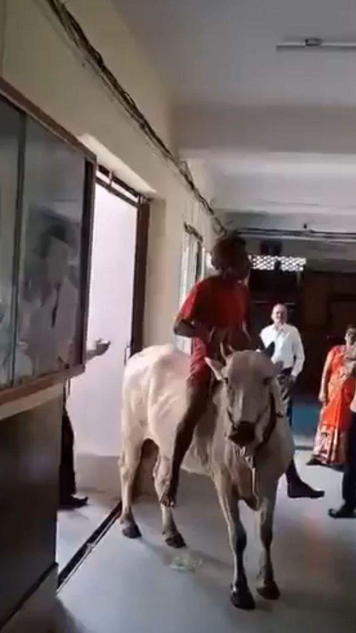 കാളപ്പുറത്തെത്തി പ്രതിഷേധിക്കുന്ന കർഷകൻ, വ്യത്യസ്തം