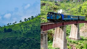 Monsoon Ooty Travel: തണുപ്പും ചാറ്റൽമഴയും; മഴക്കാല യാത്രകൾക്ക് ഊട്ടിയേക്കാൾ മികച്ച സ്ഥലം വേറെയില്ല...