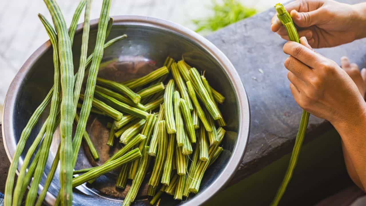 Moringa Pickle: മുരിങ്ങക്ക അച്ചാർ കഴിച്ചിട്ടുണ്ടോ?  ഹെൽത്തിയും ടേസ്റ്റിയുമാണേ....