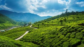 മൂന്നാറിലേക്ക് ഇനി പ്ലാസ്റ്റിക് കൊണ്ടുപോകേണ്ട, പിഴ കൊടുത്ത് ...