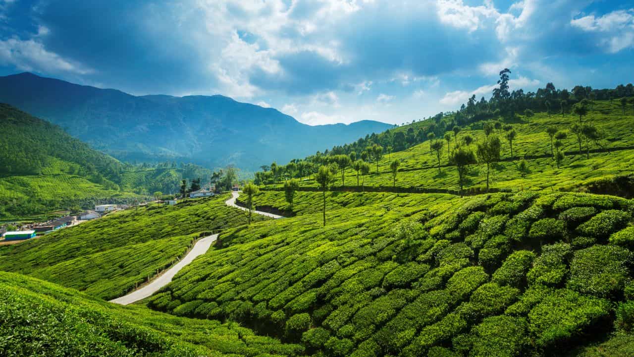 മൂന്നാറിലേക്ക് ഇനി പ്ലാസ്റ്റിക് കൊണ്ടുപോകേണ്ട, പിഴ കൊടുത്ത് പോക്കറ്റ് കാലിയാകും; ജുലൈ മുതൽ മാറ്റം!