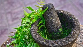 Neem Leaf Benefits: കാശും കളയേണ്ട, കെമിക്കലും വേണ്ട, മുടിയുടെ സകല പ്രശ്നങ്ങൾക്കും ഒരൊറ്റ മൂലി; വേപ്പില ഇങ്ങനെ ഉപയോഗിക്കൂ...