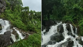 കോടമഞ്ഞും കാട്ടുചോലകളും; നെല്ലിയാമ്പതിയിലേക്ക് ഒരു വൺഡേ ട്രിപ്പ്