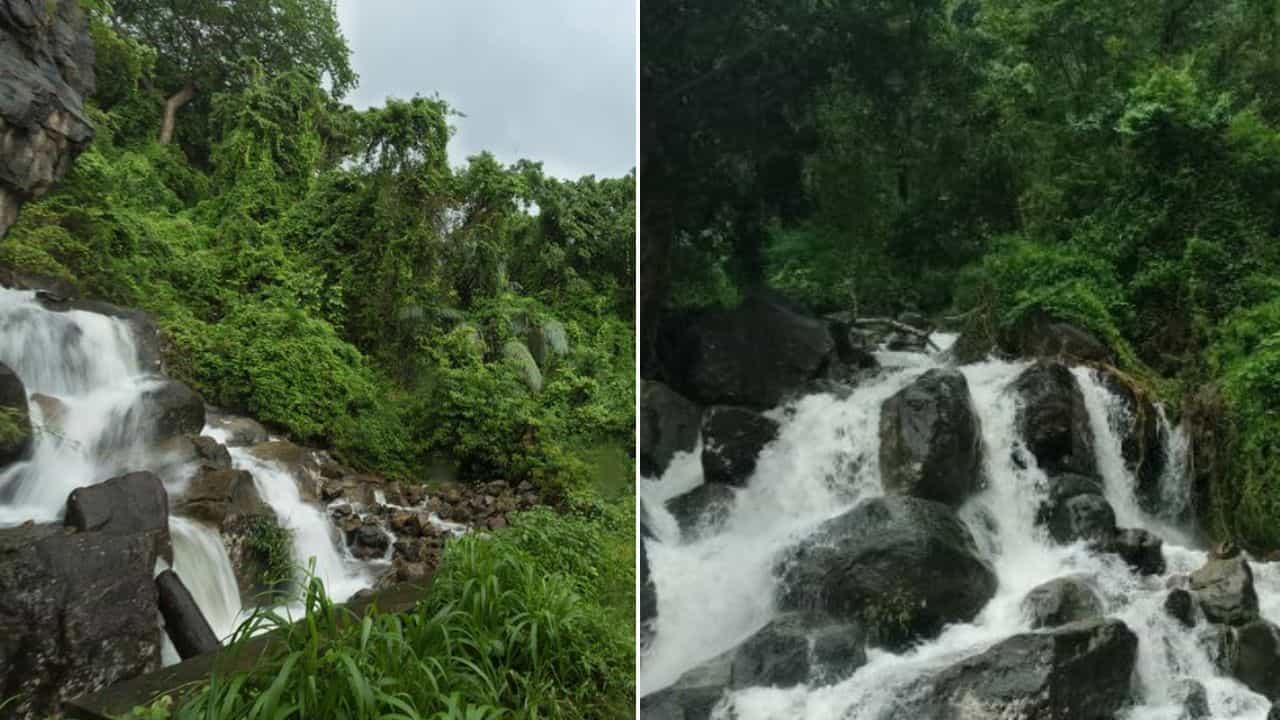 Nelliyampathy Travel: കോടമഞ്ഞും കാട്ടുചോലകളും; മഴയത്ത് നെല്ലിയാമ്പതിയിലേക്ക് ഒരു വൺഡേ ട്രിപ്പ് പോയാലോ? Nelliyampathy Travel: കോടമഞ്ഞും കാട്ടുചോലകളും; മഴയത്ത് നെല്ലിയാമ്പതിയിലേക്ക് ഒരു വൺഡേ ട്രിപ്പ് പോയാലോ?