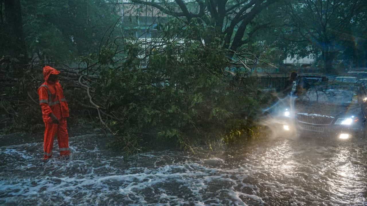Idukki Night Travel Ban: ഇടുക്കിയിലെ രാത്രിയാത്രാ നിരോധനം അംഗീകരിക്കില്ല; കളക്ടറുടെ ഉത്തരവിനെതിരെ വ്യാപാരികൾ Idukki Night Travel Ban: ഇടുക്കിയിലെ രാത്രിയാത്രാ നിരോധനം അംഗീകരിക്കില്ല; കളക്ടറുടെ ഉത്തരവിനെതിരെ വ്യാപാരികൾ