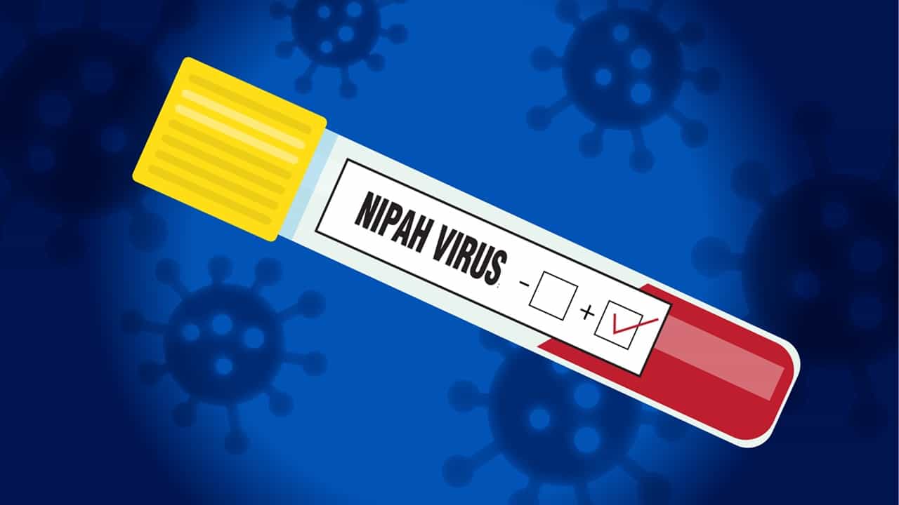 Kerala Nipah Virus Update: രോഗത്തിന്റെ ഉറവിടം ആ ഗോഡൗണോ? കോഴിക്കോട്ടെ നിപ രോഗിയുടെ സമ്പര്ക്കപ്പട്ടിക വലുത് Kerala Nipah Virus Update: രോഗത്തിന്റെ ഉറവിടം ആ ഗോഡൗണോ? കോഴിക്കോട്ടെ നിപ രോഗിയുടെ സമ്പര്ക്കപ്പട്ടിക വലുത്