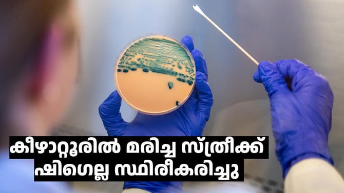മലപ്പുറം കീഴാറ്റൂരിൽ മരിച്ച വയോധികയ്ക്ക് ഷിഗെല്ല സ്ഥിരീകരിച്ചു
