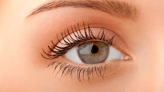 Eyelashes: മനോഹരമായ കൺപീലികൾ വേണോ? വെറും രണ്ടാഴ്ച ഇങ്ങനെ ചെയ്തുനോക്കൂ…