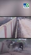Viral Video: ആനക്കെന്ത് മതിൽ ഒറ്റ ചവിട്ട്...