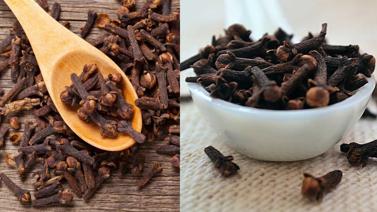 Clove Water Benefits: ഗ്യാസും വയറെരിച്ചിലും പമ്പകടക്കും! വയർ വീർത്തു കെട്ടുന്നത് മാറാൻ ഇതാ ഒരു സീക്രട്ട് ഡ്രിങ്ക്