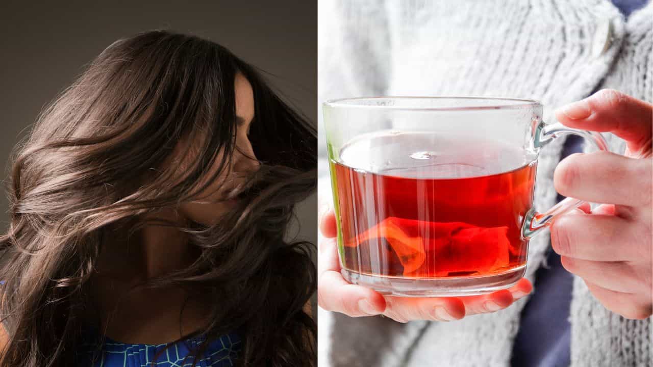 Hair Growth Tips: ഒരു സ്പൂൺ തേയിലപ്പൊടിക്ക് ഇത്രയും ഗുണമോ?; മുട്ടോളം മുടി നേടാം ഇങ്ങനെ ഉപയോഗിച്ചാൽ Hair Growth Tips: ഒരു സ്പൂൺ തേയിലപ്പൊടിക്ക് ഇത്രയും ഗുണമോ?; മുട്ടോളം മുടി നേടാം ഇങ്ങനെ ഉപയോഗിച്ചാൽ