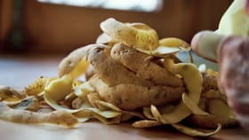 Potato Peels Benefits: വലിച്ചെറിയുന്ന ഉരുളക്കിഴങ്ങ് തൊലിയിൽ ഒളിഞ്ഞിരിക്കുത്: ആരോഗ്യവും രുചിയും കൂട്ടാൻ ചെയ്യേണ്ടത്...