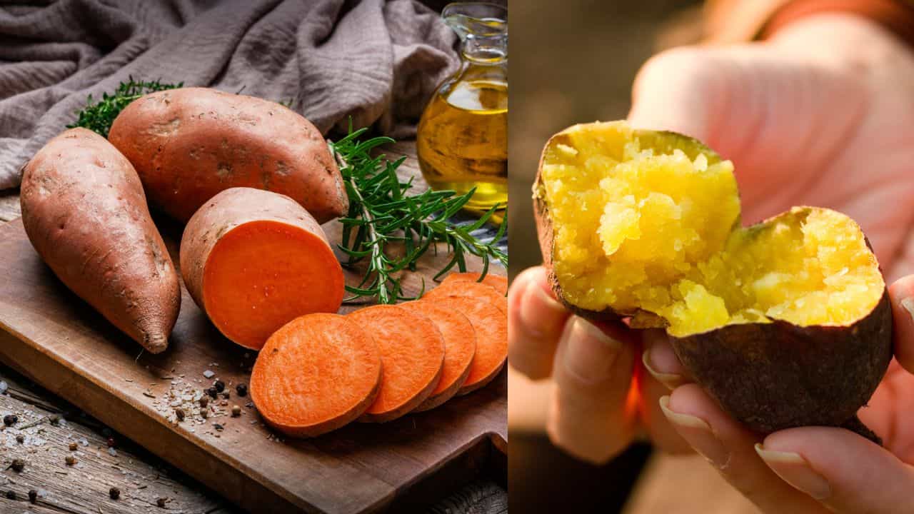 Diabetes Health: മധുരക്കിഴങ്ങ് ദിവസവും കഴിച്ചാൽ പ്രമേഹം കൂടുമോ കുറയുമോ? ഇതെല്ലാം അറിഞ്ഞിരിക്കണം Diabetes Health: മധുരക്കിഴങ്ങ് ദിവസവും കഴിച്ചാൽ പ്രമേഹം കൂടുമോ കുറയുമോ? ഇതെല്ലാം അറിഞ്ഞിരിക്കണം