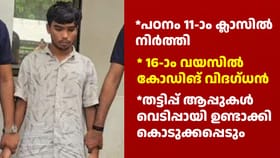 ഇന്ത്യൻ ​സൈബർ ​ക്രിമിനലുകളുടെ 'ആശാൻ' അ‌റസ്റ്റിൽ; പ്രായം 18